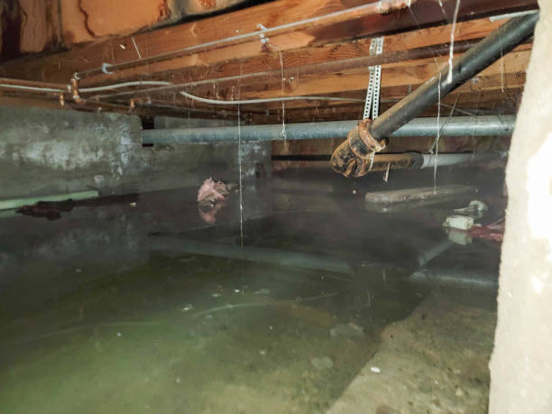 Water damage restoration process in Islandia, NY
