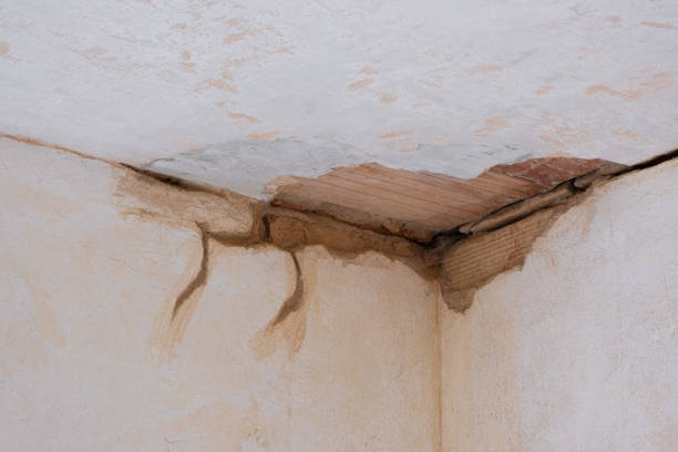Best Water damage contractors near me  in Islandia, NY