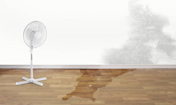 Local water damage restoration in Islandia, NY