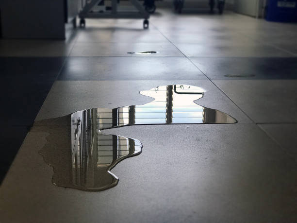 Best 24/7 water damage repair  in Islandia, NY