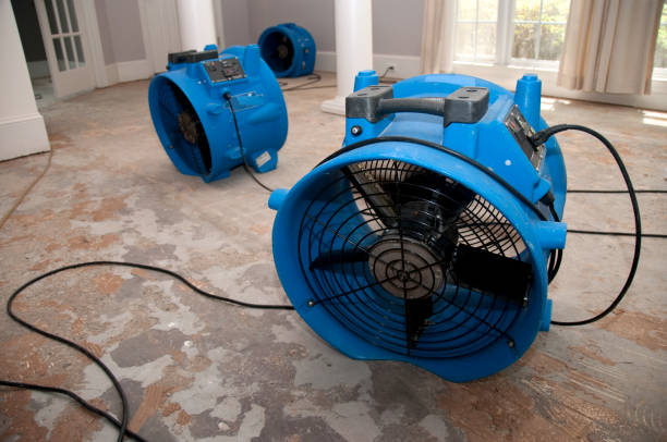 Water damage restoration mold remediation in Islandia, NY