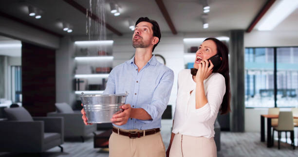 Best Flooded house restoration  in Islandia, NY