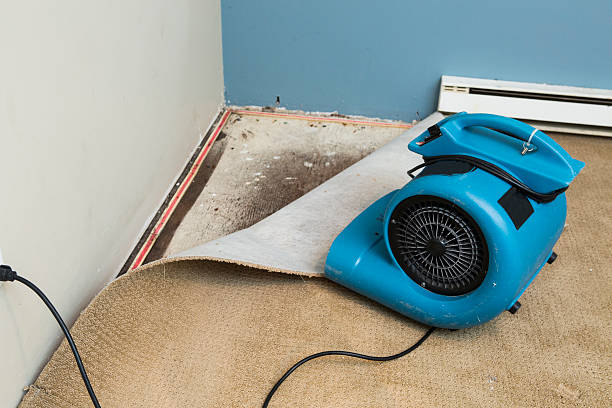 Best 24-hour water damage restoration  in Islandia, NY